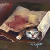 Cat in a Bag by Mary Hayman