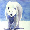 Polar Bear Watercolor by Mary Hayman