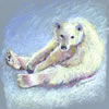Polar Bear by Mary Hayman